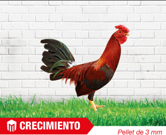 PICO - CRECIMIENTO X 40 KG