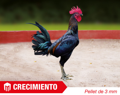 NAVAJA - CRECIMIENTO SAC X 20 KG