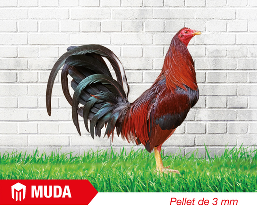 PICO ADULTO MUDA  X 40  KG