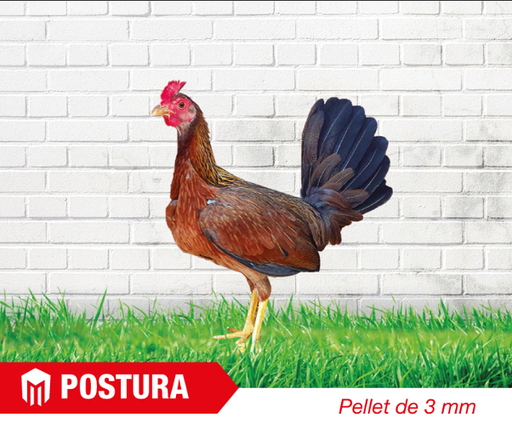 PICO - POSTURA  X 40 KG