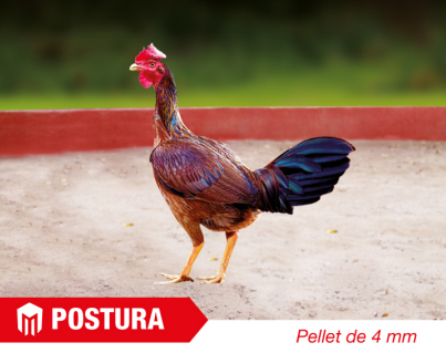 NAVAJA - POSTURA SAC X 20 KG